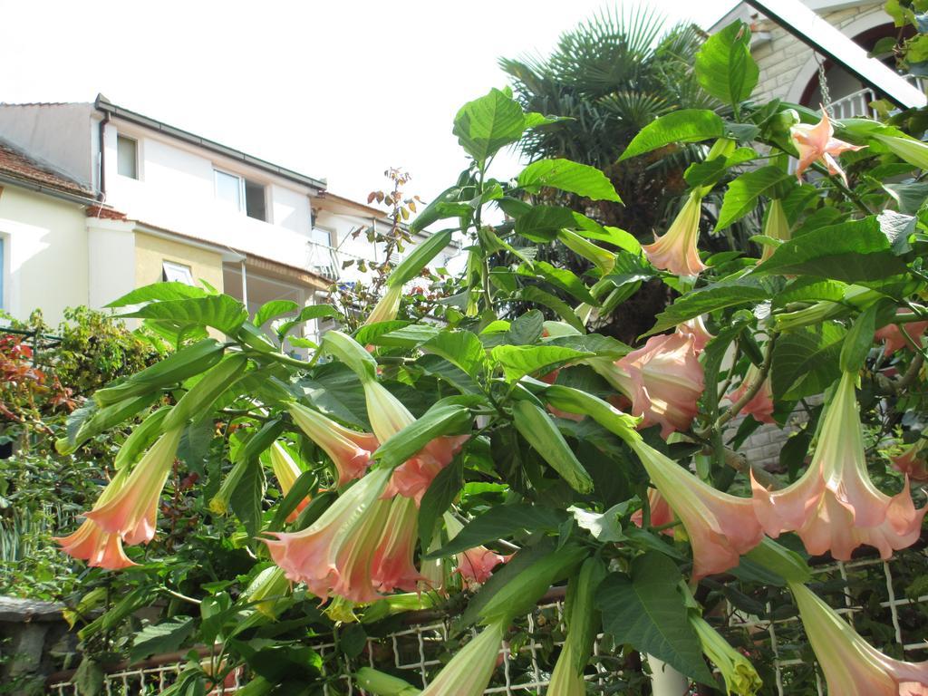 Apartment Like Gradac (Split-Dalmatia)