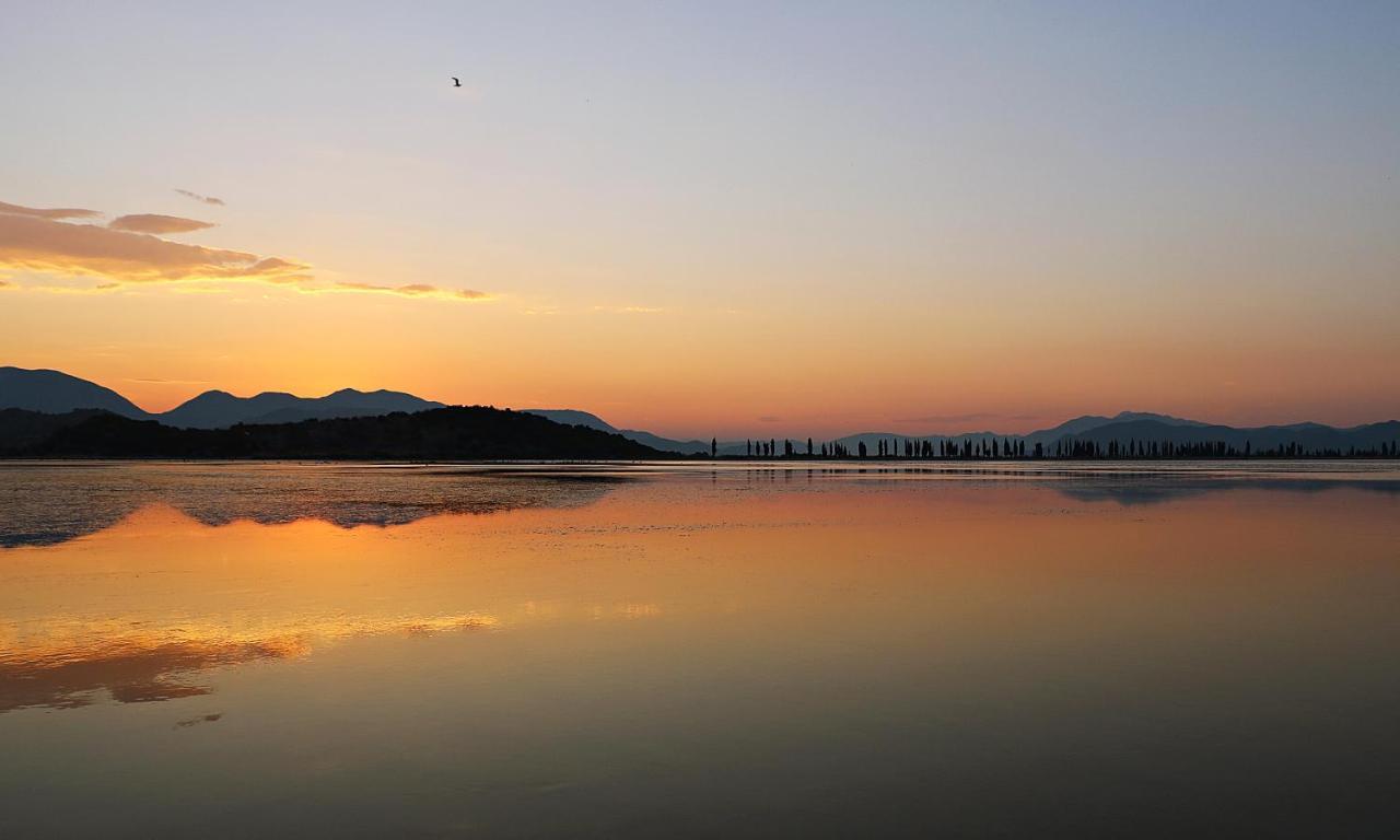 Apartment Like Gradac (Split-Dalmatia)
